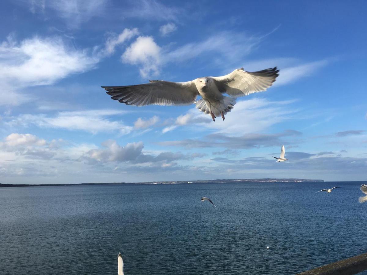 Fewo Im Seepark Зеллин Экстерьер фото